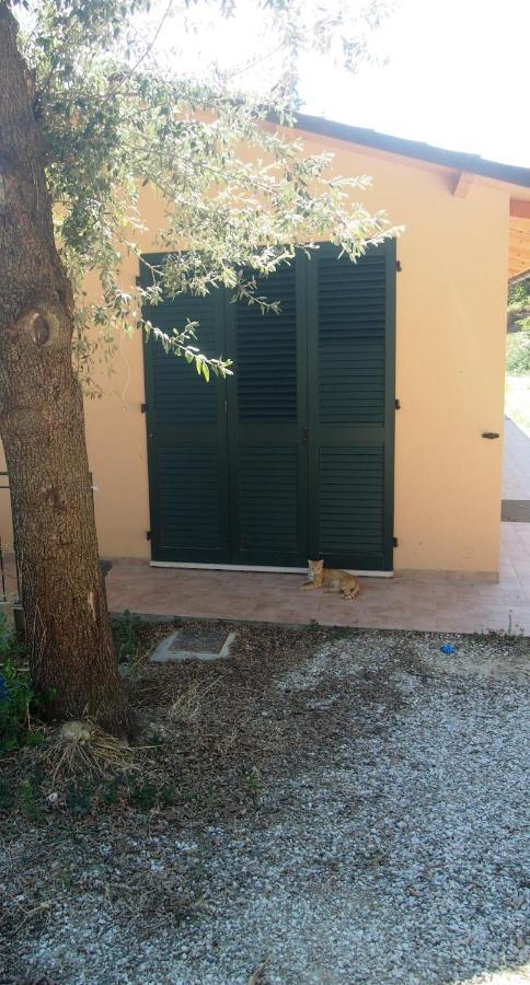 Agriturismo Ardizio 43 เปซาโร ภายนอก รูปภาพ
