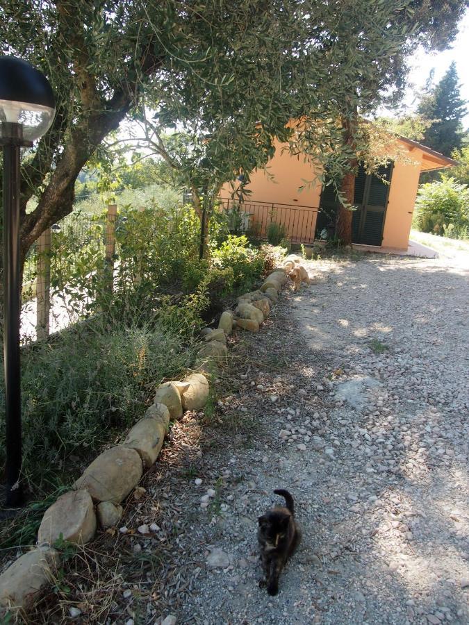 Agriturismo Ardizio 43 เปซาโร ภายนอก รูปภาพ