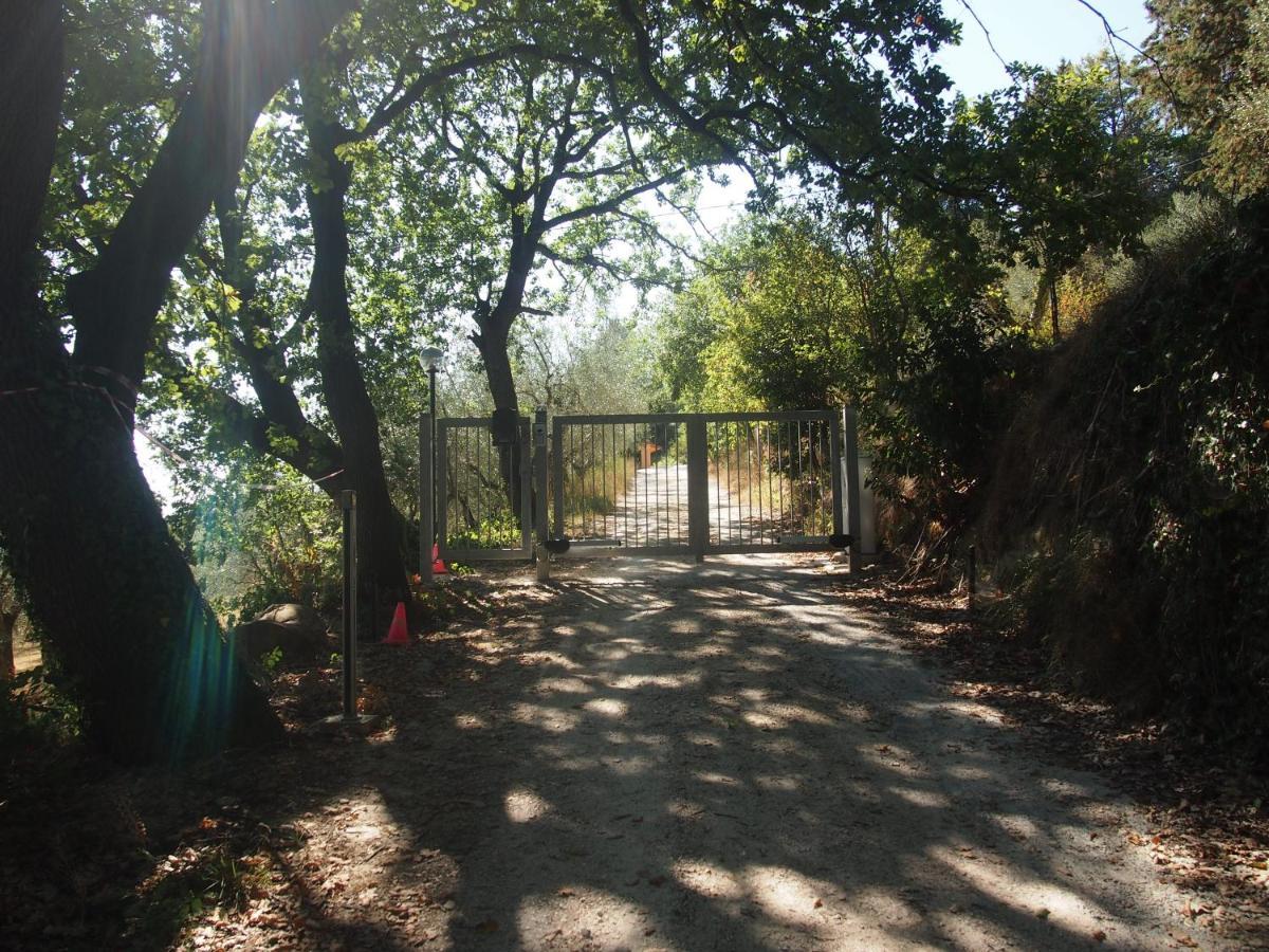 Agriturismo Ardizio 43 เปซาโร ภายนอก รูปภาพ