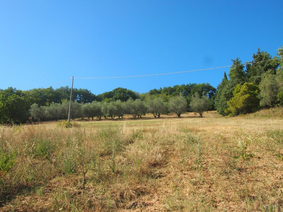 Agriturismo Ardizio 43 เปซาโร ภายนอก รูปภาพ