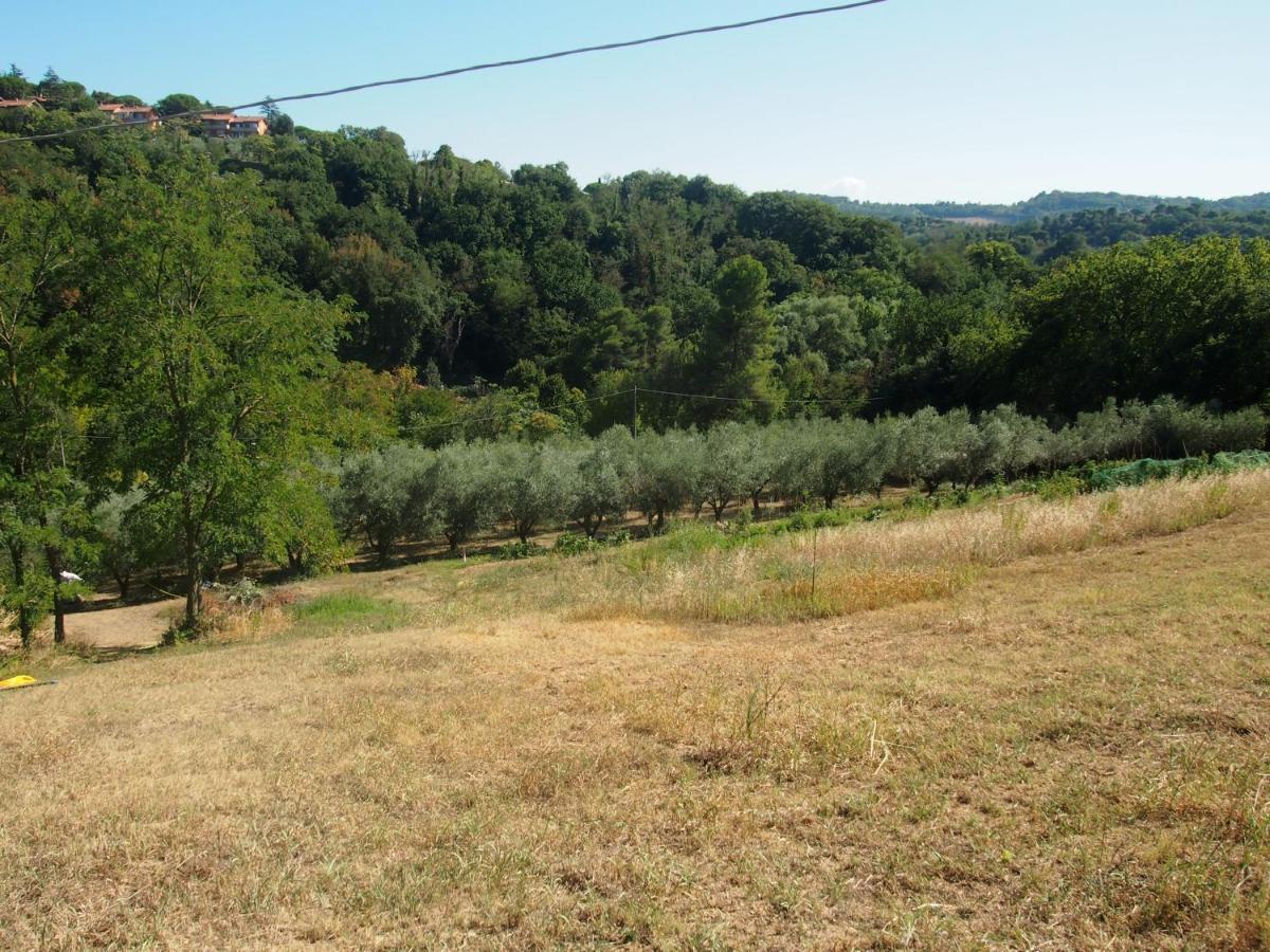 Agriturismo Ardizio 43 เปซาโร ภายนอก รูปภาพ